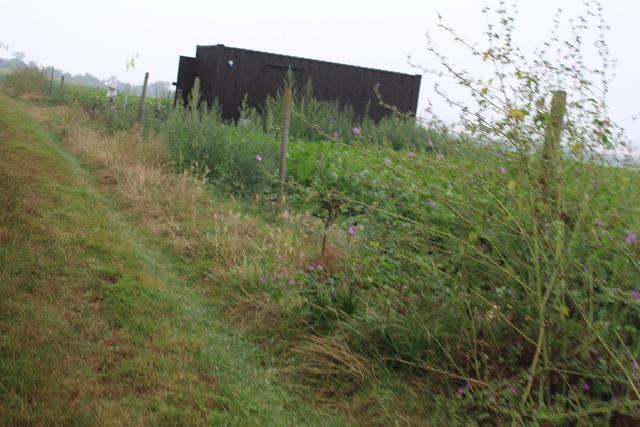 亚马逊快递无人机秘密测试基地曝光:藏在英国乡间