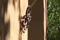 [动图+视频]新技术能让无人机像昆虫一样贴在墙面降落-航拍网