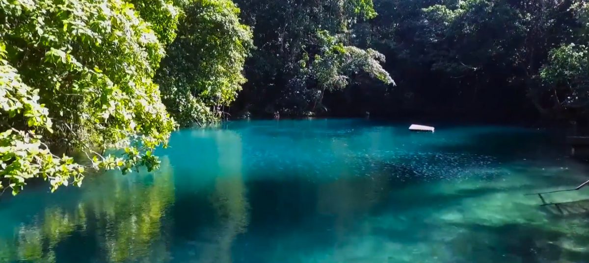 [视频]日产GT-R vs. GT-R无人机：比比谁更快-航拍网