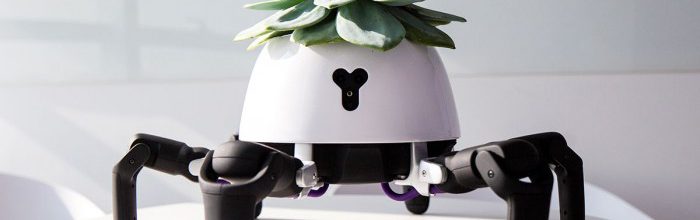 这个“追光”机器人能“照看”其头顶上的植物-航拍网