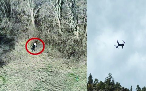 无人机屡建功劳：救出患痴呆症失踪老妇,定位堕崖爬山女-航拍网