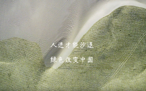 震撼!航拍支付宝蚂蚁森林,种树1亿棵-航拍网