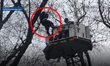美国一男子为找无人机被卡树上幸得消防员救助-航拍网