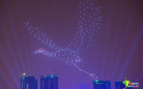 2019武汉荷花节,400架无人机上演空中光影秀-航拍网