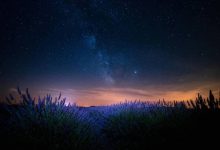 美图:法国普罗旺斯,童话里的薰衣草海洋-航拍网