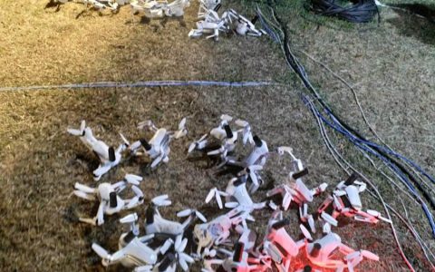 台湾灯会800架无人机编队遭干扰!致48架无人机坠毁-航拍网