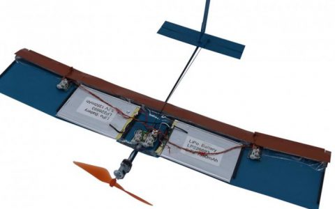 受鸟类和昆虫启发的新型机翼问世 显著提高小型无人机性能-航拍网