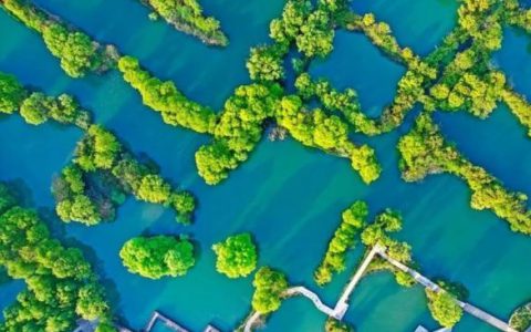 “五一”杭州西溪湿地无人机巡航 实时管控人流量-航拍网