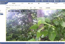 物联网远程监测无人机高空侦察 扬州林木“夏虫大作战”-航拍网
