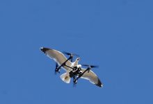 误闯鸟类领地遭报复?海鸥袭击无人机-航拍网