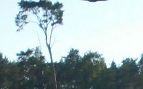 波兰一男子首次拍到高清UFO照片 专家:40年来最佳-航拍网