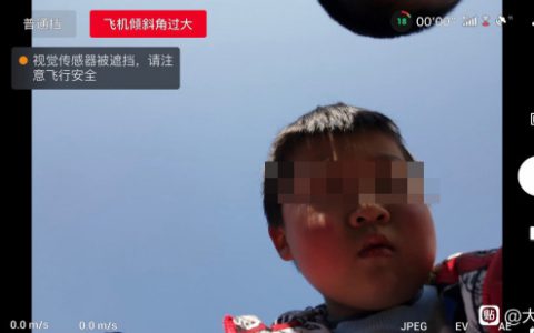 DJI Mavic Air 2被小孩打下来 网友回应两极 到底谁是谁非?-航拍网