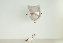 猫咪造型!NTT Docomo 推改款室内气球无人机可绑毛球逗猫-航拍网