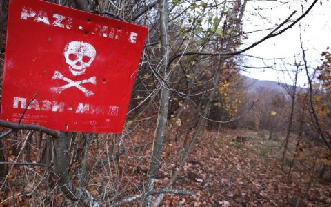 无人机+蜜蜂能探雷!巴尔干半岛11万颗地雷难除,科学家联手寻奇招-航拍网