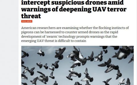 为对付武装无人机进攻，美国欲训练鸽子群自杀式扑上去？-航拍网