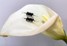 麻省理工研发全新人工肌肉 提升微型飞行机器人性能-航拍网