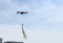 上海女子用无人机给邻居送葱 结果无人机和葱都挂树上-航拍网