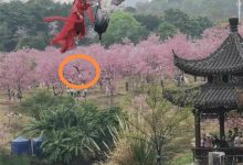 广西一景区游客飞无人机砸到高空表演者,主办方:伤情无碍,正协商解决-航拍网